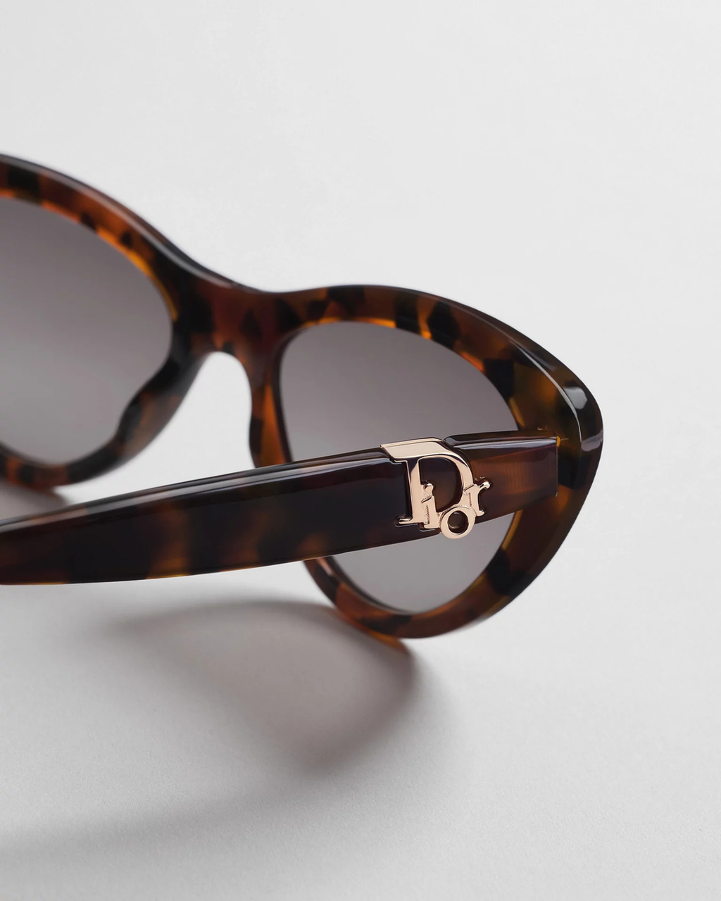Dior Oblique