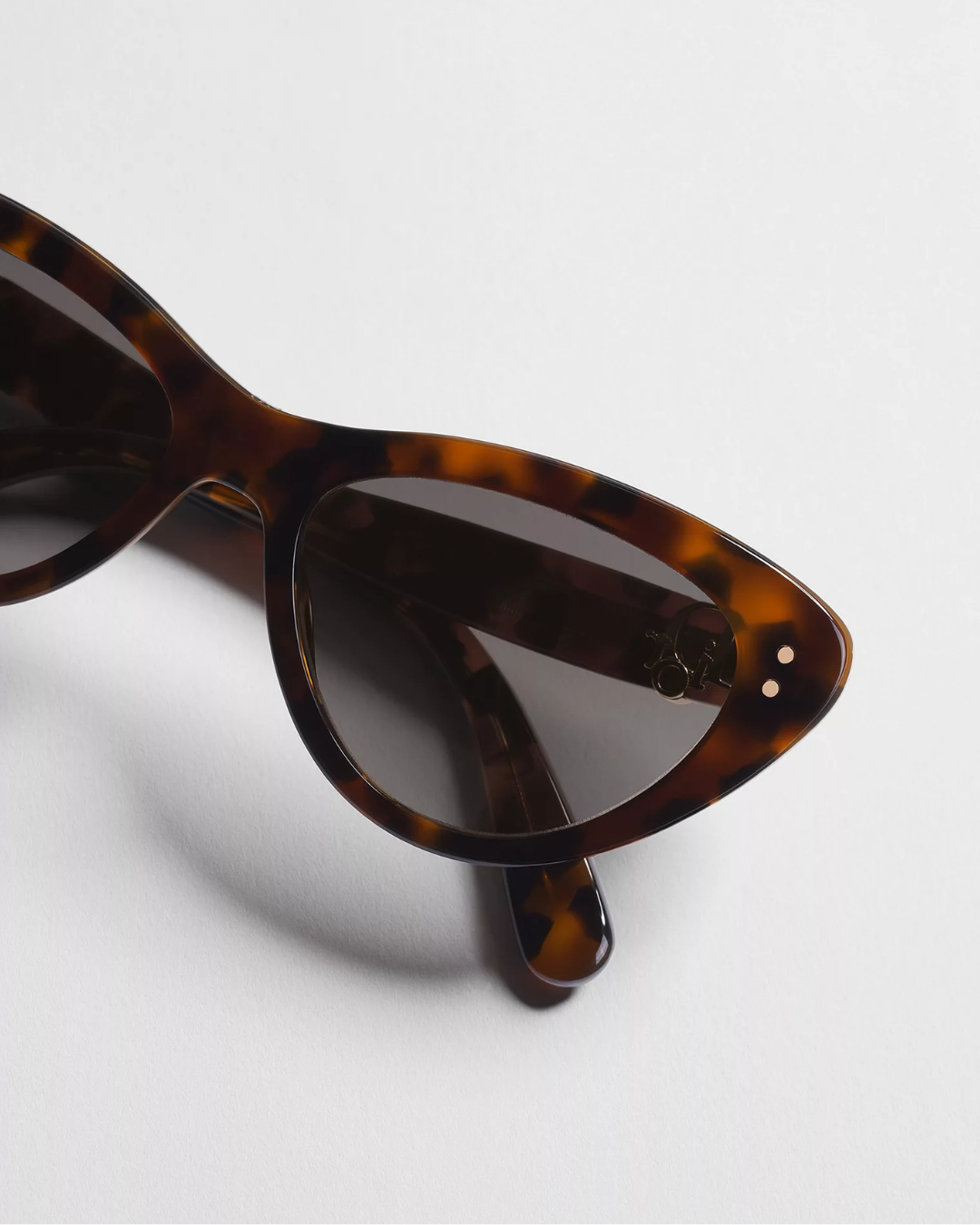 Dior Oblique